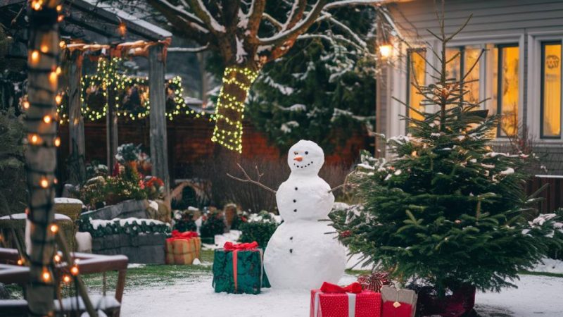 Noël au jardin : 3 idées de cadeaux malins pour le jardin pour surprendre vos proches